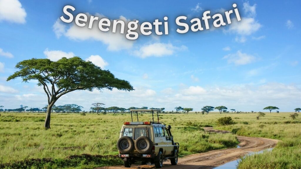 Serengeti Safari, Tanzania Air Ticket Deals