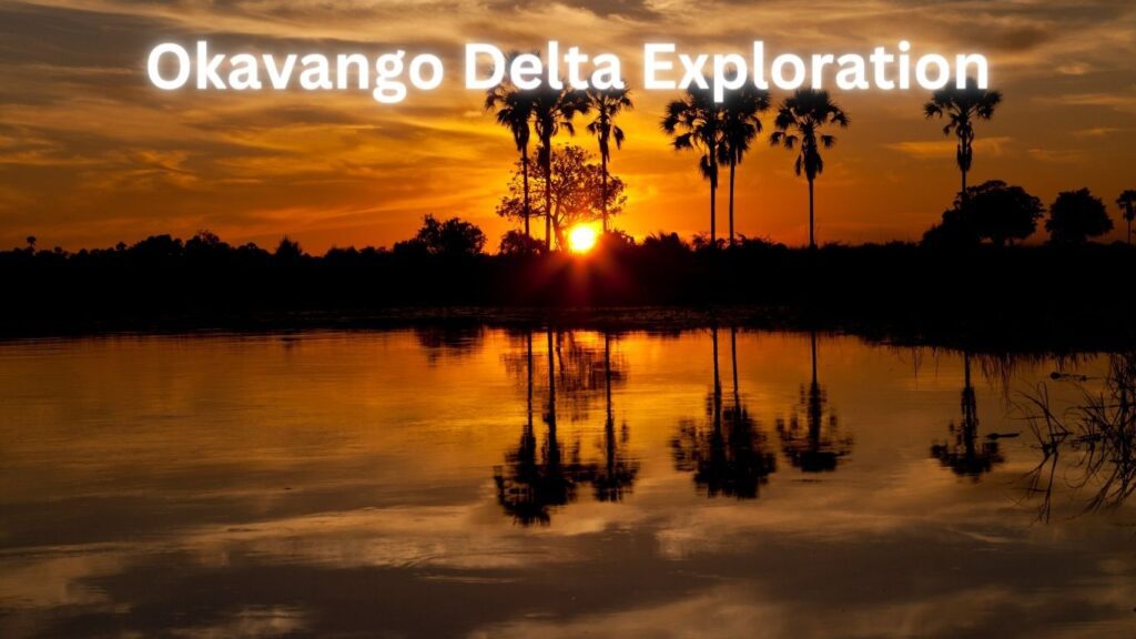 Okavango Delta Exploration, Botswana Budget-friendly Tours, ASAP Trips