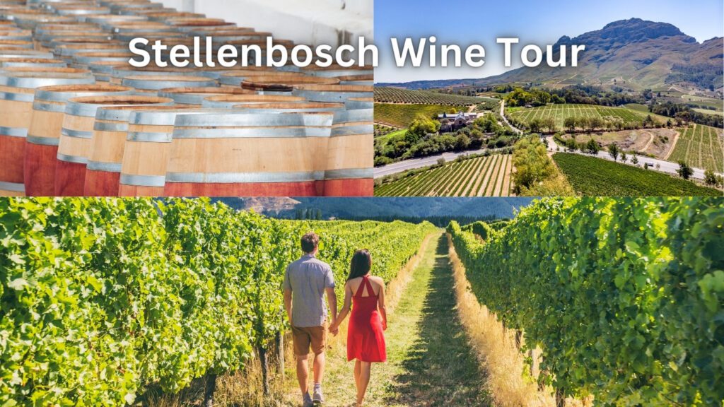 Stellenbosch Wine Tour, South Africa Affordable Wine Tasting, asap trips