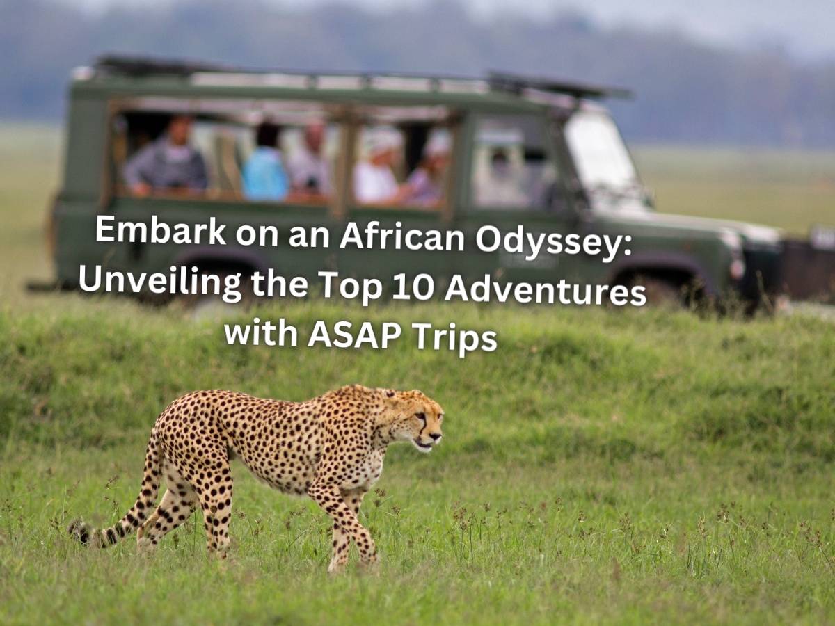 Embark on an African Odyssey: Unveiling the Top 10 Adventures with ASAP Trips