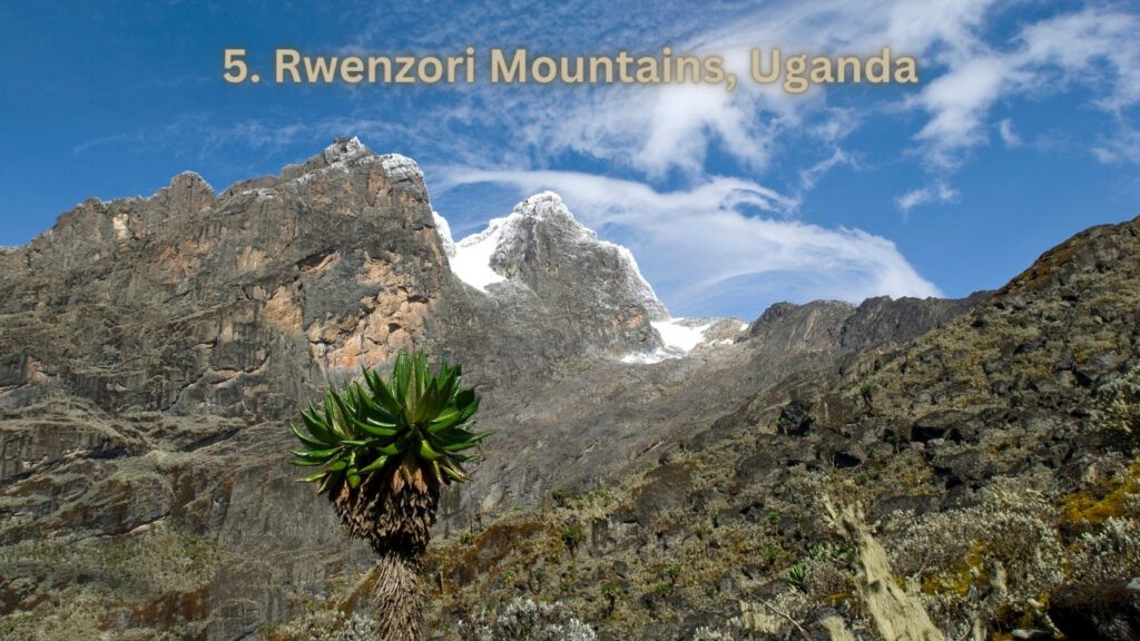 Rwenzori Mountains, Uganda | asaptrips